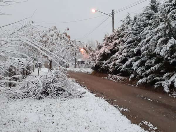 Naturaleza nevada en Calamuchita invierno